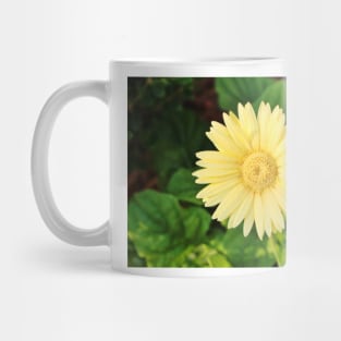 Pale Yellow Daisy Mug